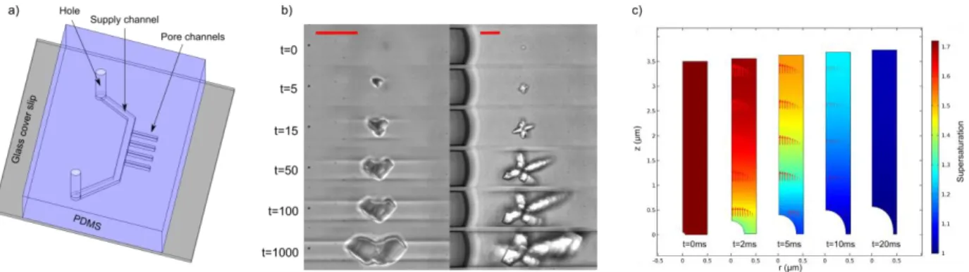 Figure 1: a) Scheme of the microfluidic chip. b) Crystal growth recorded at 1000 frames per second (red  scale bar represents 10 µm)