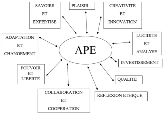 Figure 2 ‒ Représentation des composantes de l’APE 