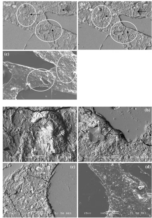 Fig. 6 BSE of concrete B in low- and high-vacuum mode (a, b) and SEI of the replica (c), (1,200 days, 4009)