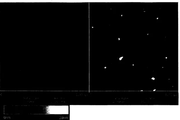 Figure  3c:  PS(1 l)-b-PAA(l.2)  on  glass.  Height  and  Phase  Image