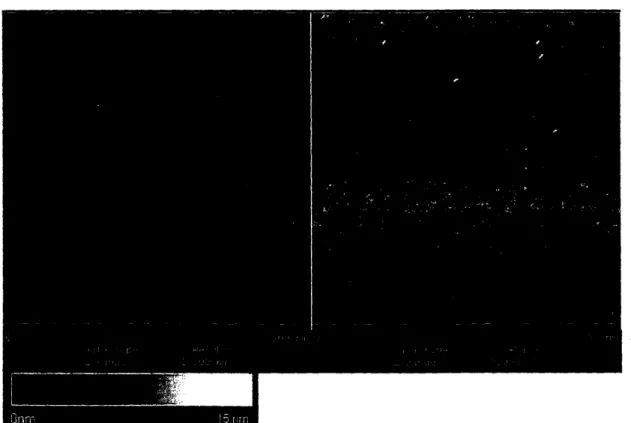 Figure  4:  PS(66.5)-b-PAA(4.5)  on  glass  substrate.