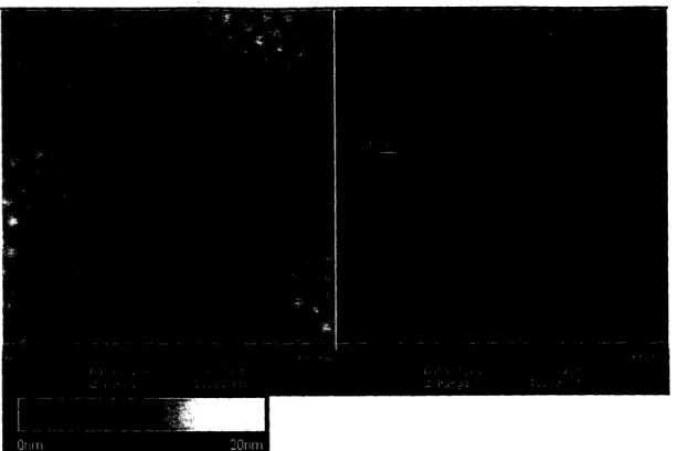 Figure  5:  PS( 16.5)-b-PAA(4.5)  on  glass  500  rn  scan  size.  Micelle  size  is monodisperse  with average  size-  23  nm