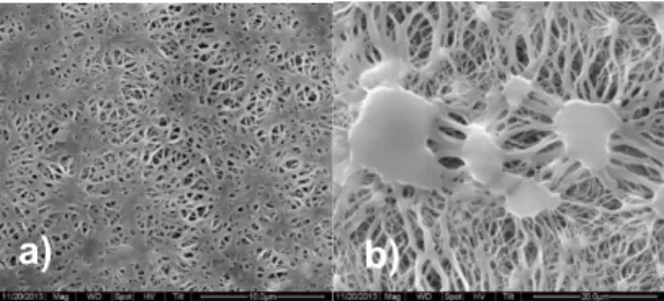 Figure 1. SEM images of double-faced implanted Gore-Tex; a) Smooth surface b) Rough surface  This patch will usually require replacement later as the child grows