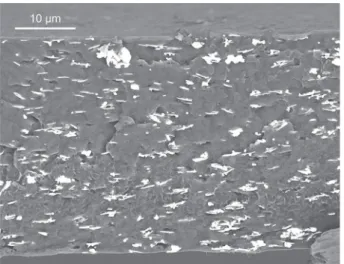 Fig. 6. Electrical bulk (left scale) conductivity of the nanocomposites as a function of ﬁller fraction