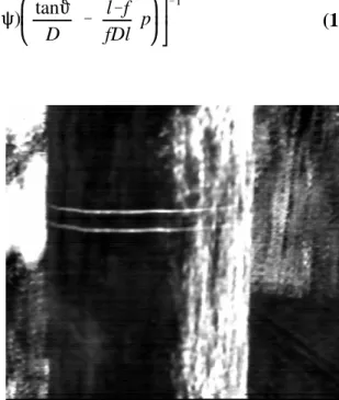 Figure 3: Video image of a log as seen by Biris sensor.