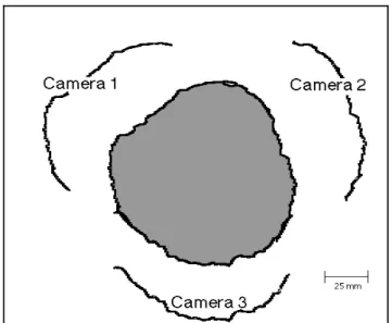 Fig. 5 illustrates the notion of radial log measurement used in this paper, with one or two Biris cameras to obtain only a partial section of the log, or three cameras to cover the full cross section