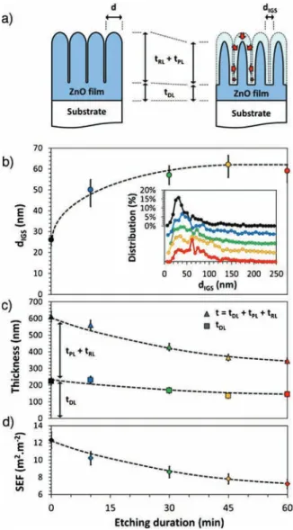 Fig. 6. (a) Schematic representation of the microstructure of a ZnO thin film as deposited and after partial etching in HCl solution