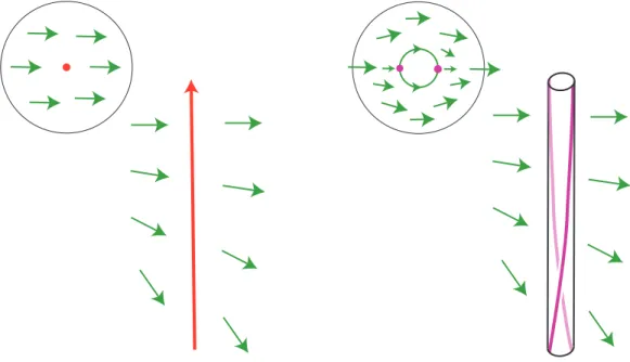 Figure 3. On the left, the vector field ζ X (green) on M. Since it is transverse to X, is it transverse to the link Γ (red) made of periodic orbits of X