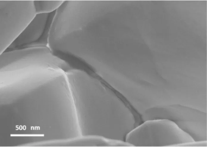 Figure 2 SEM image of the melting layer formed between the micrometre-size LiF crystals subjected to SPS at 2 MPa and 100 °C/min heating rate up to 500 °C (totally 5 min).
