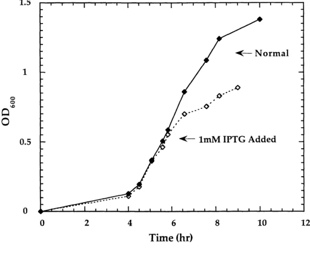 Figure  1.5  Sample  growth  curve of RNR/pET23b(+)/BL21(DE3).  Started  from a single  colony,  100  Rg/mL  ampicillin,  10  mL  culture  size.