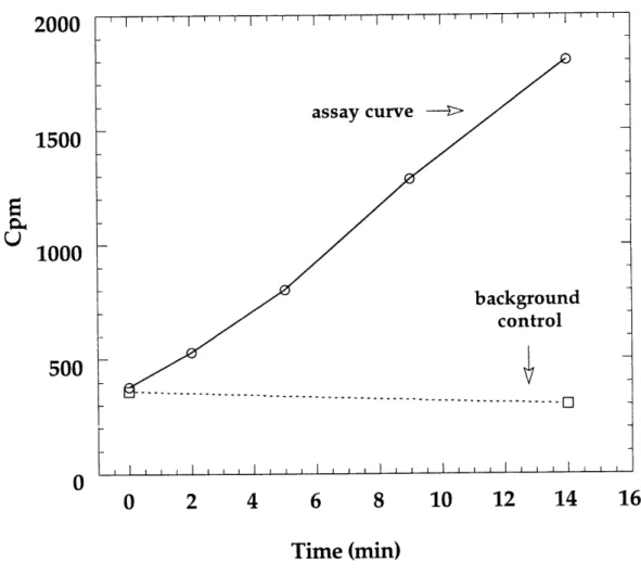 Figure 1.11  Sample  [2- 14 C]-CDP  assay.  Assay conditions:  1 mM  CDP (S.A.  =  2.2  x 10 cpm/nmol),  1 mM  MgCl2,  30  mM DTT,  100  gM  AdoCbl, 25  mM  HEPES pH  7.5,  10  jM T