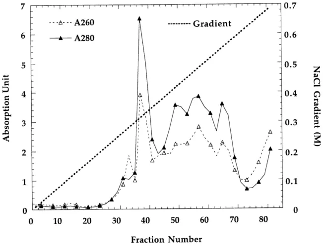 Figure 1.14 Q-Sepharose  column elution profile:  A260,  A280  readings vs. fraction number