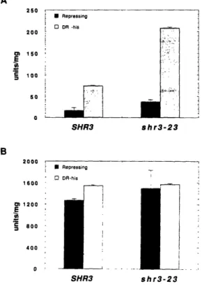 Figure 8.  GCN4-LacZ Activity in SHR3 and shr3-23 Strains -Galactosidase  activity in SHR3 (PLAS1-7D)  and shr3-23   (PLAS23-4B) strains transformed  with GCN4-1acZ  plasmids with GCN4-1acZ under  general control (p180) (A) and gcn4-lacZ constitutively  ex