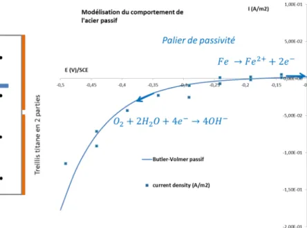 Fig. 6. Comportement électrochimique de l’acier à l’état passif avec visualisation du palier de passivité, et modélisation par la relation de Bultler-Volmer.