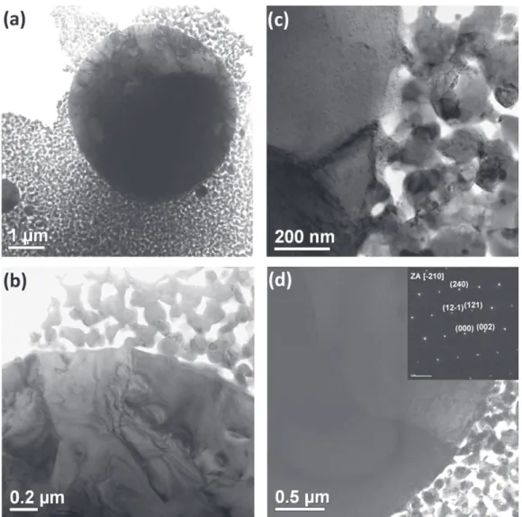 Fig. 8. TEM images showing the (a) nucleation and growth of the spherical cubic Y 2 O 3 grains on account of the multiphase nanocrystalline matrix at 1000 ◦ C