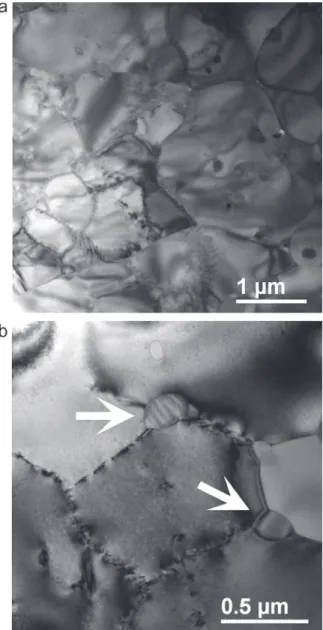Fig. 9. TEM images showing the (a) micrometer-size cubic grains formed at 1500 ◦ C.