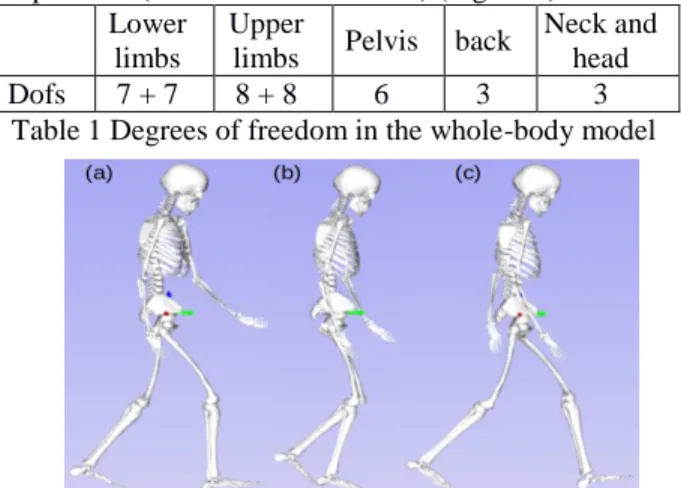 Table 1 Degrees of freedom in the whole-body model 