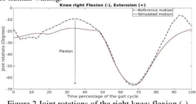 Figure 2 Joint rotations of the right knee: flexion (-),  extension (+) 