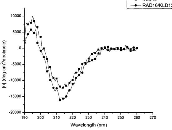 Figure 11.  CD  spectra of KLD12  and mixture  of KLD12 with  RADI6.  The beta-sheet structure  is  not  greatly  affected by the  addition of this  second peptide.