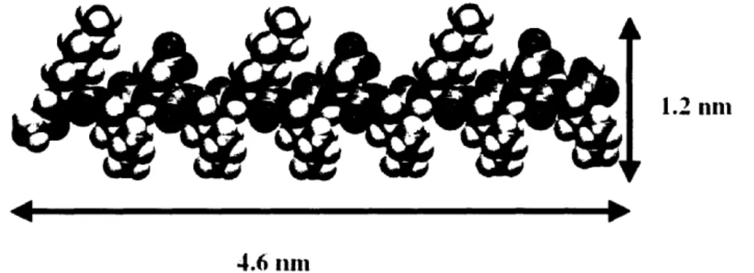 Figure 2. Molecular  model  of KLD12  peptide.  The  hydrophilic  side  chains of lysine  and aspartic  acid  are  on  the upper  side and  the  hydrophobic  leucine  side  chains are  directed toward the bottom  side of this model.