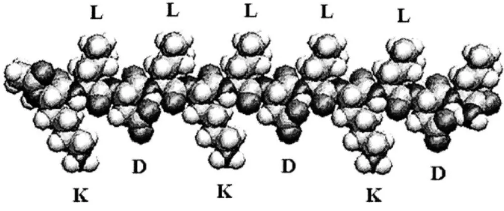 Figure 2:  A  molecular  model  of a single  KLD-12  self-assembling  peptide,  exhibiting  alternating hydrophilic  (K, D)  and hydrophobic  (L)  amino  acid  residues.