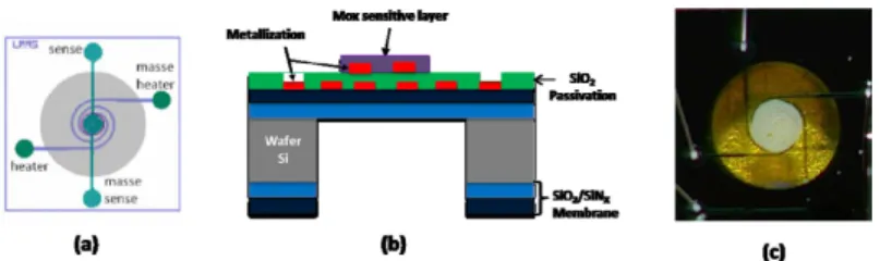 Figure 2. ZnO sensing layer deposit on microhotplates. 