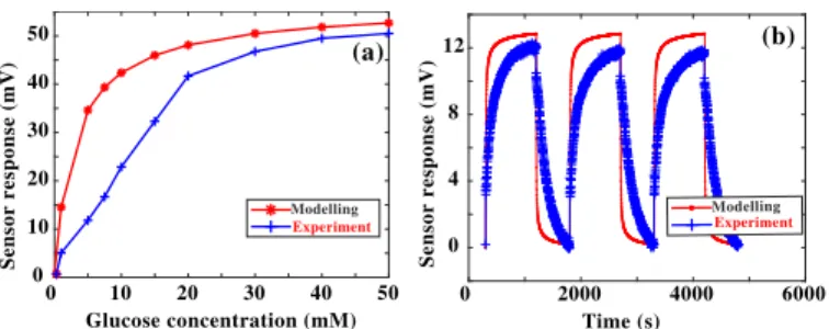 Fig. 9. Comparison between modeling and experimental data: (a) sensor response versus glucose concentration for ∆V p =0.27 V and T pol =5min.(b) Sensor response over time with successive constant polarization ∆V p =0.27 V, T pol =15min and C 0 = 10 −3 mol/