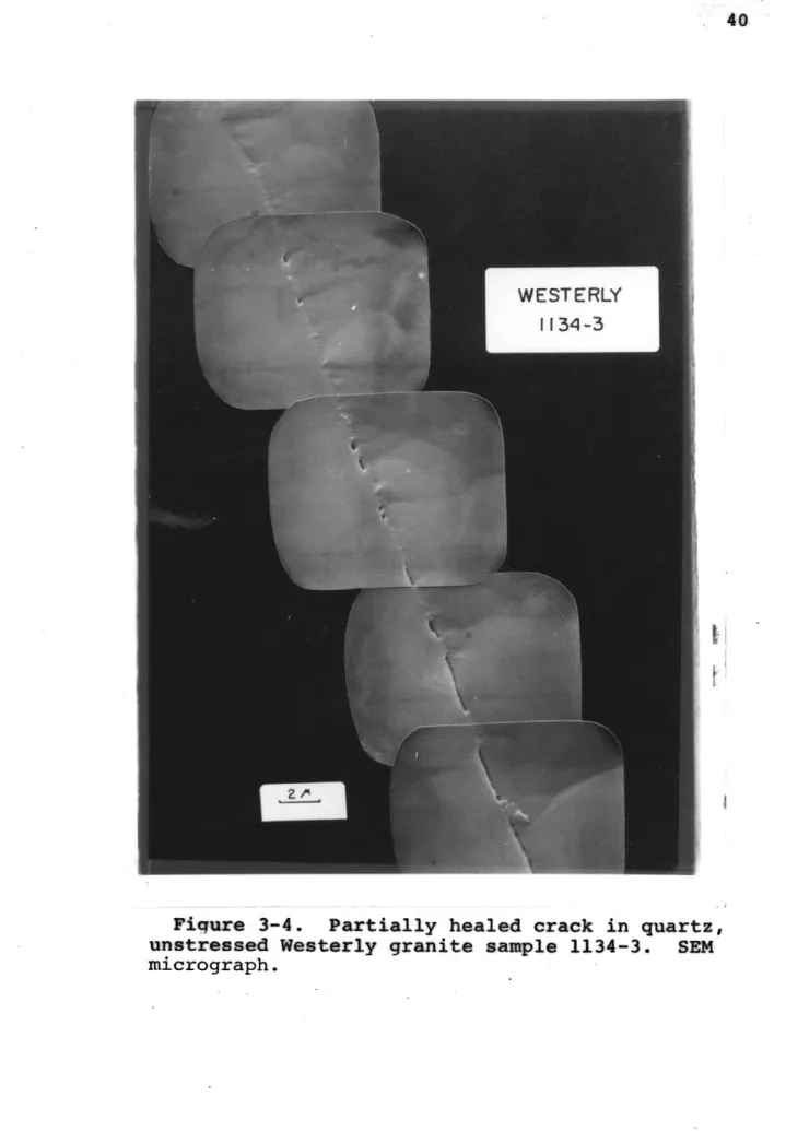 Figure  3-4.  Partially healed crack  in quartz, unstressed Westerly granite  sample  1134-3
