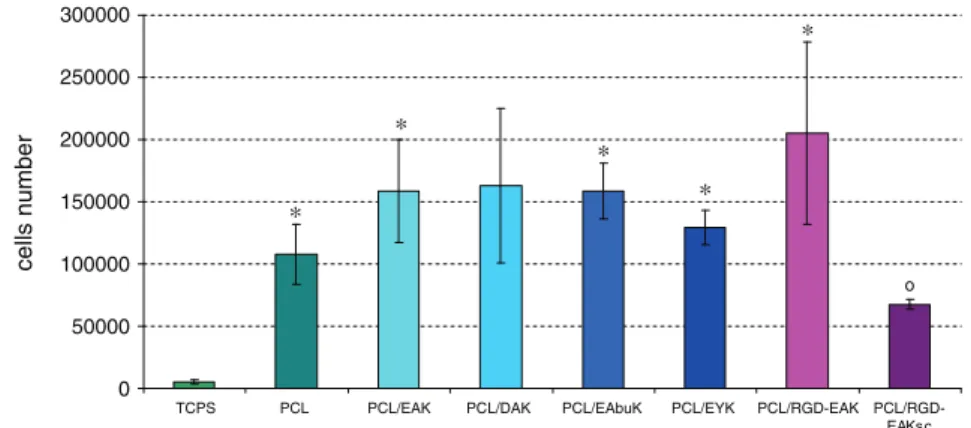 Fig. 6. Adhesion of h-osteoblasts onto PCL and peptide-enriched scaffolds evaluated at 2 h after seeding (2×10 5 cells/scaffold)