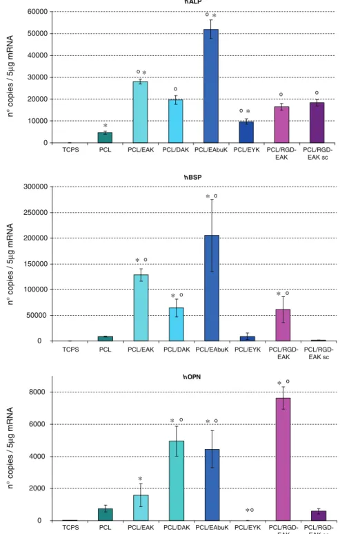 Fig. 8. Evaluation of mRNA transcript levels speciﬁc for human alkaline phosphatase (hALP), human osteopontin (hOPN) and human bone sialoprotein (hIBSP) assessed by quan- quan-titative real time PCR 24 h after h-osteoblast seeding (2×10 5 cells/scaffold)