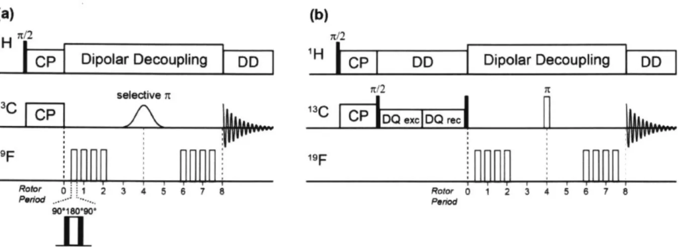 Figure  1.7  13 C- ' 9 F  REDOR  pulse  sequences.  (a)  J-decoupled  frequency-selective  REDOR  with  soft Gaussian  selective  t  pulse