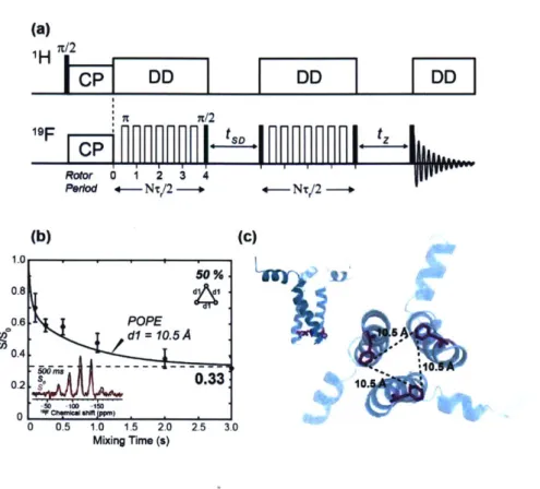 Figure  1.8  19 F- 19 F  CODEX  distance  measurement  of 4- 19 F-F699  labeled  gp4l  MPER-TMD  in POPE