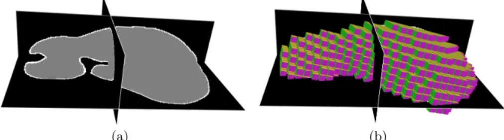 Fig. 3. Example of sparse grid discretization generated from a preoperative CT. Com- Com-bined with an immersed boundary method, it allows the use of regular hexahedral meshes to simulate the deformation of the organ, and can be used with our CNN.