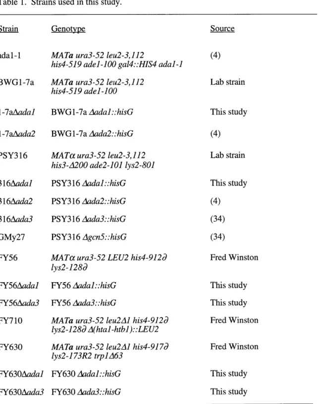 Table  1.  Strains  used in  this study.