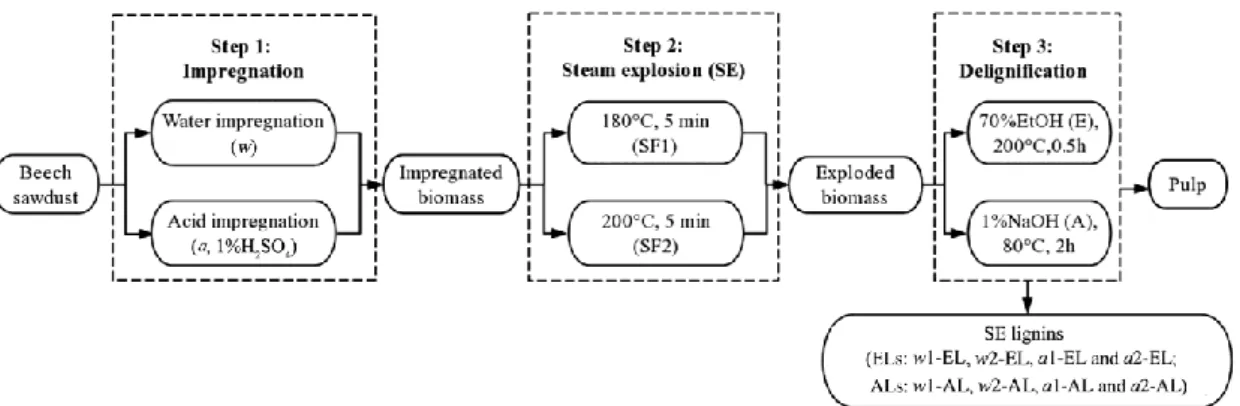 Figure 1. The diagram for preparing SE treated biomass and delignification process. 