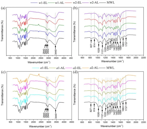 Figure 8. FTIR spectra for different lignin samples compared with MWL. (a) 