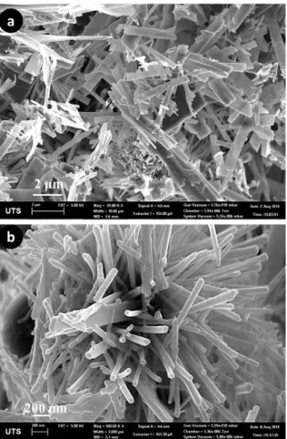 Figure 7: Morphology change from platelets (a) to  rod-like (b) in 24 hrs 