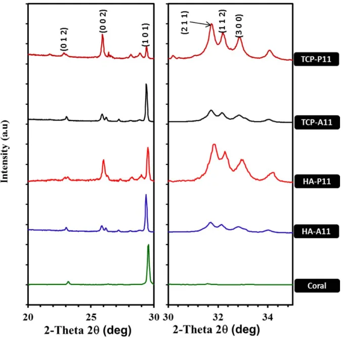 Figure 3: XRD patterns of samples after 24 hrs 