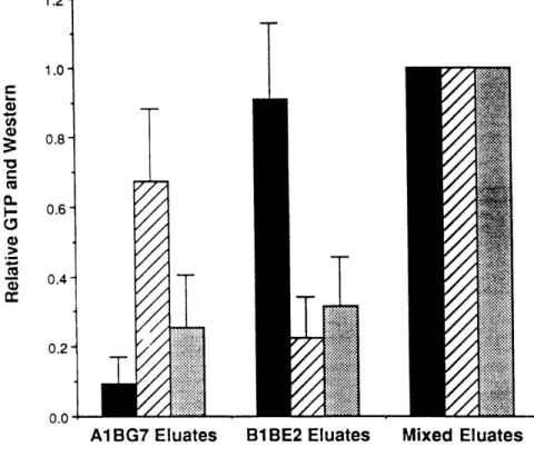 Figure  3.4  To  assess  GTP  binding,  eluates  from  anti-ac-tubulin  antibody A1  BG7 and anti-3-tubulin  antibody  B1 BE2 beads were  mixed together  or  mixed with  0.1%  Triton  X-114  Buffer  and  incubated  with  3 2 P-oa-GTP