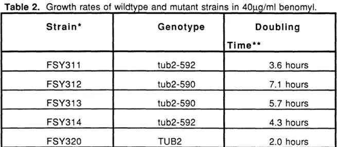 Table  2.  Growth  rates of wildtype  and mutant strains  in 40tg/ml  benomyl.