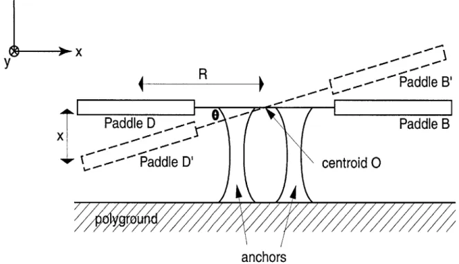Figure  2-5:  Side  view  of the  movement  of paddles  B  and  D  to  B'  and D'  respectively in  the  presence  of the  Lorentz  force.