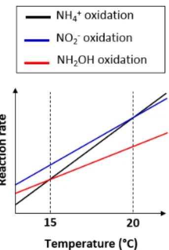 Figure 7. Graph of the difference in temperature dependency of the reactions involved in nitrification.