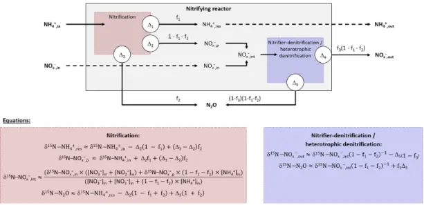 Figure 2. Diagram and equations of the nitrifying reactor after Fry (2006). It is considered as a sequence of two reactor boxes