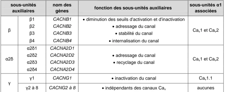 Table  2 :  Sous-unités  auxiliaires  des  canaux  calciques  voltage-dépendants et  implications de ces sous-unités dans le fonctionnement des canaux Ca v 