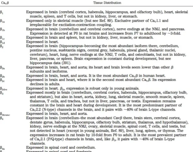 Table  3 :  Répartition  des  différentes  sous-unités  β  et  de  leurs  isoformes  d’épissage  dans l’organisme