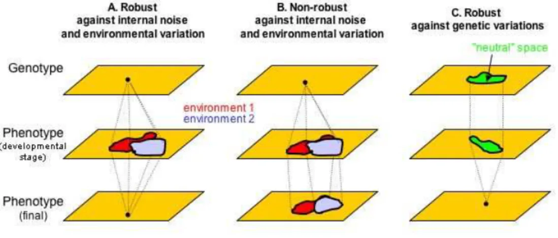 Figure 1. Robustness to stochastic noise, environmental change and genetic variations