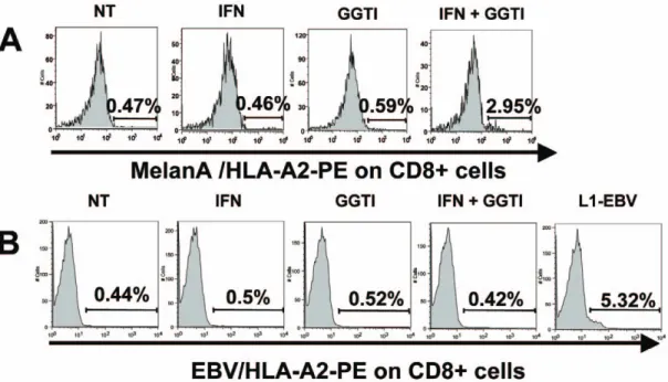 Figure 8. PBMC stimulation with hIFN--c+GGTI-298 pretreated LB1319-MEL cells induces specific cells proliferation, labeled with MART-1/HLA-A2 tetramers