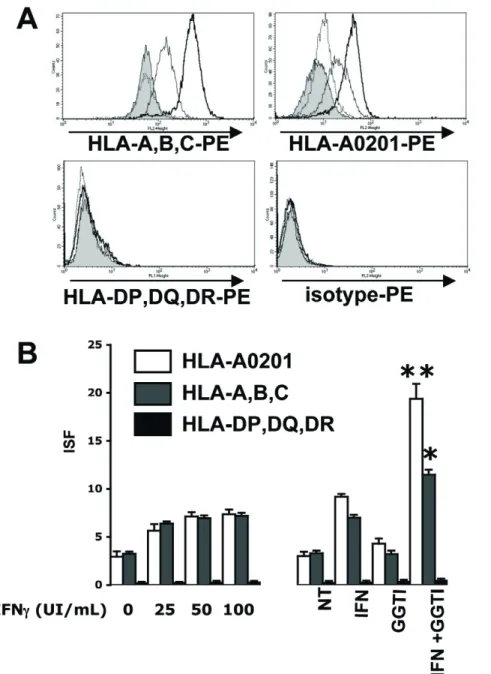 Figure 3. GGTI-298 enhances hIFN-c-induced MHC-I expression on human melanoma cells. LB1319-MEL cells were grown for 4 days in culture medium (filled profiles) or in the presence of hIFN-c alone (50 IU/ml) (thin lines) or GGTI-298 alone (10 mM) (dotted lin