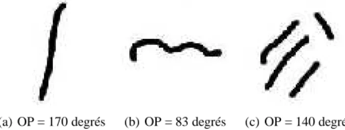 Figure 6. Orientation Principale (OP) obtenue pour chaque image