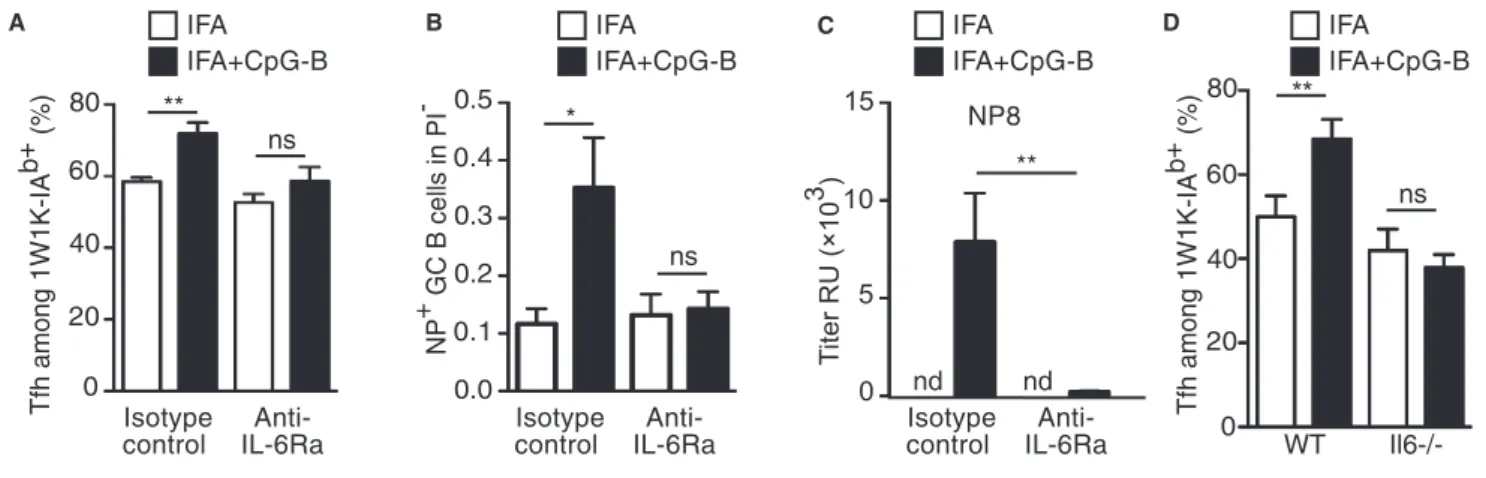 Figure 6. IL-6 produced by Ag-presenting DC in response to CpG-B adjuvantation promotes Tfh-cell differentiation.